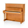 Concert 8 - Image 8