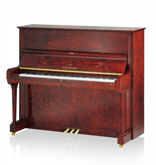 Concert 8 - Image 6