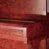 Concert 8 - Image 7